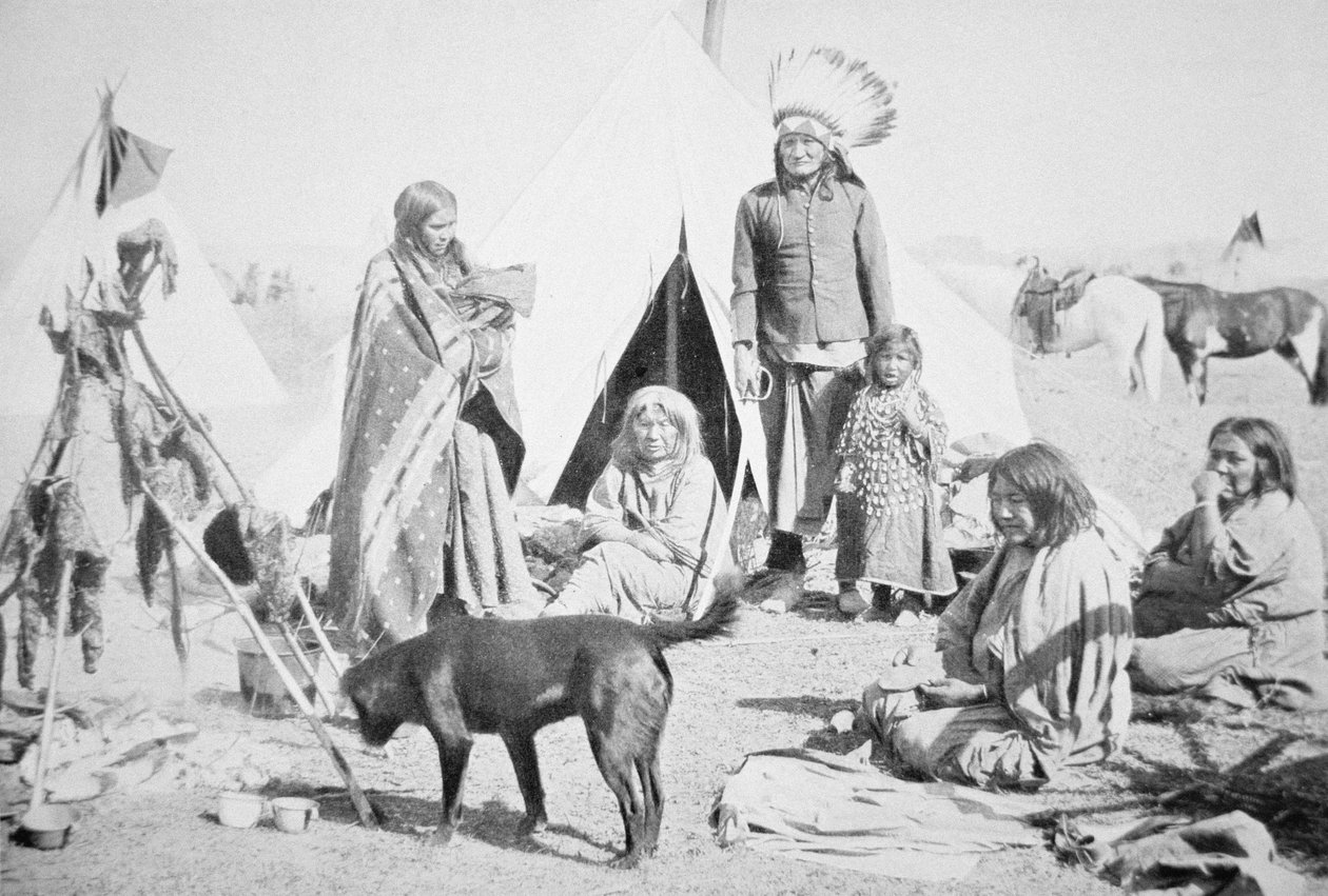 Rezerwat Siuksów w Pine Ridge, Południowa Dakota, ok. 1890 (zdjęcie czarno-białe) autorstwa American Photographer