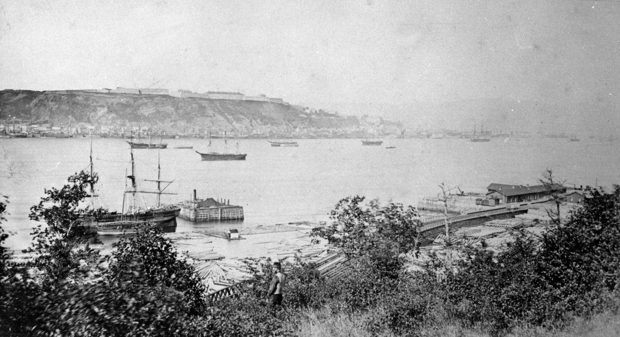 Widok Quebec City po drugiej stronie portu, ok. 1880-95 autorstwa American Photographer