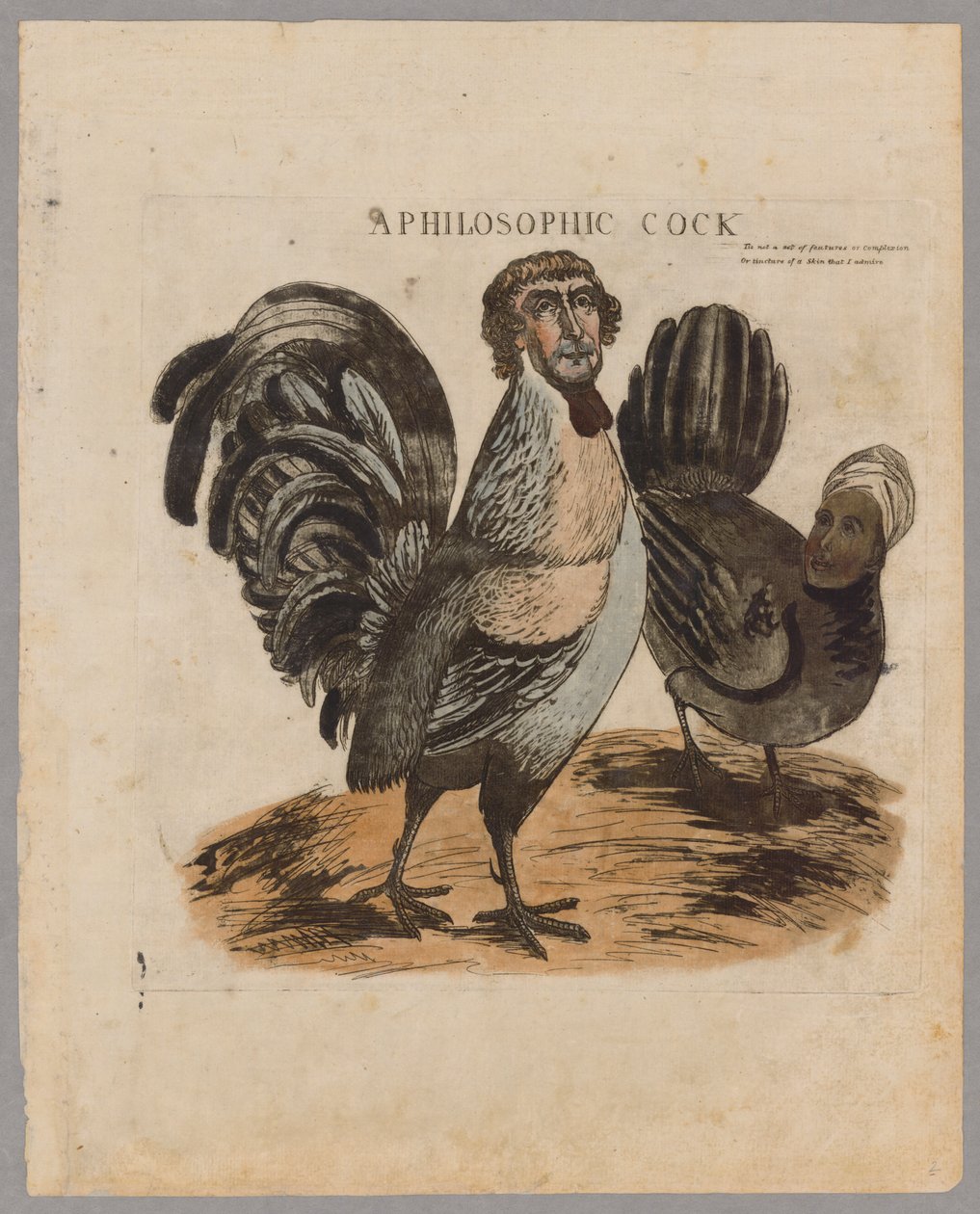 Kogut filozoficzny, 1804 autorstwa American School