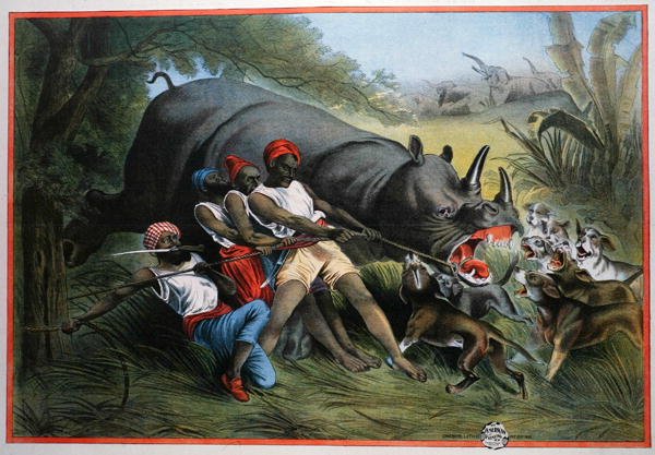 Polowanie na nosorożca (chromolitho) autorstwa American School