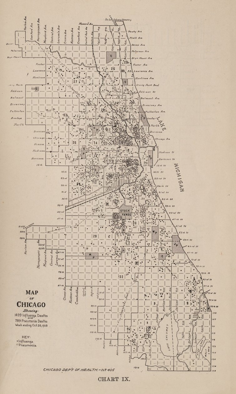 Raport o epidemii grypy w Chicago jesienią 1918 r. autorstwa American School