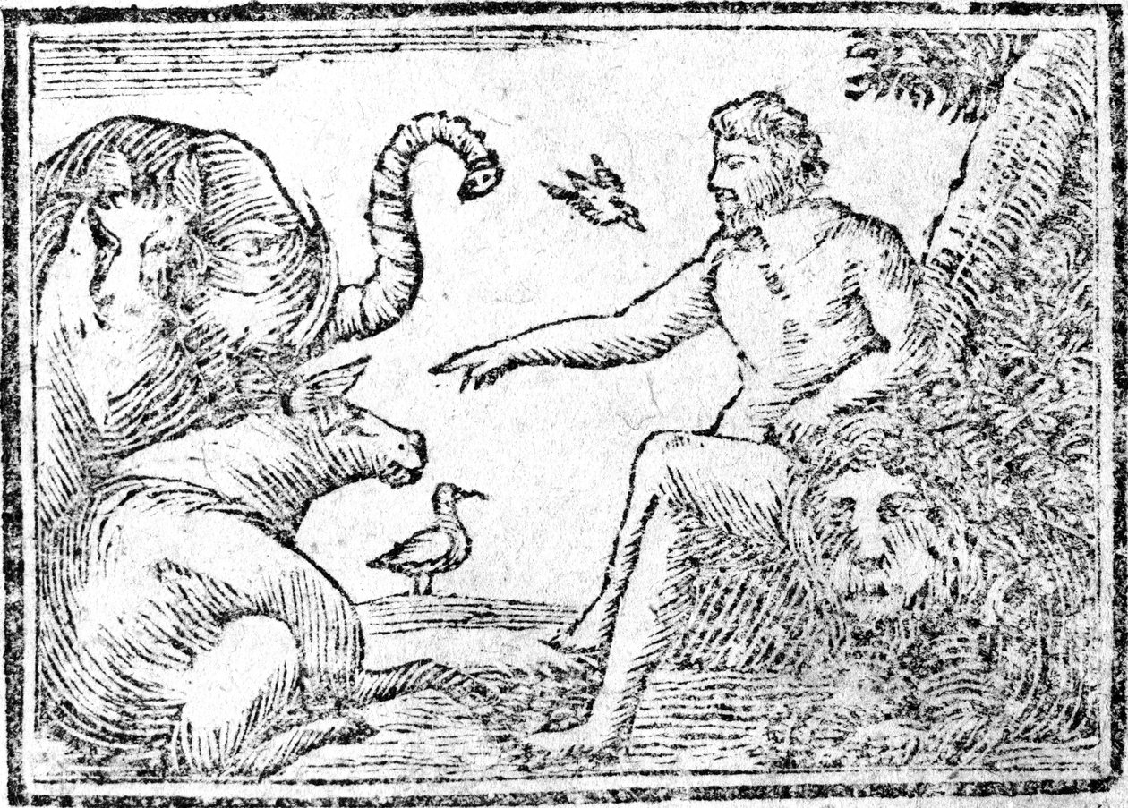 Adam nazywający zwierzęta, ilustracja z Skróconej historii Pisma Świętego, wydanej w 1794 r. autorstwa American School