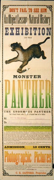 Reklama wystawy Monster Panther autorstwa American School