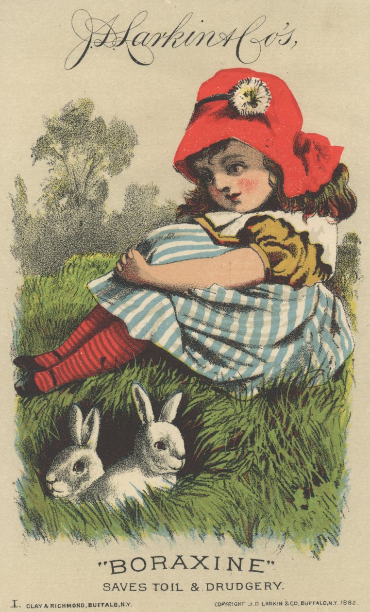 Reklama J.D. Larkina i Cos Boraxine, 1882 autorstwa American School