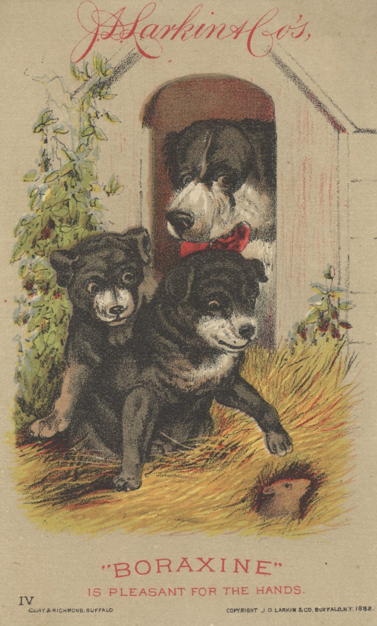 Reklama J.D. Larkina i Cos Boraxine, 1882 autorstwa American School
