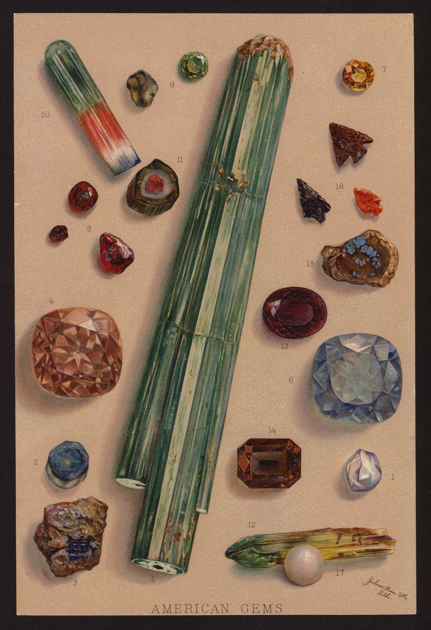 Amerykańskie klejnoty (kolorowa litografia) autorstwa American School