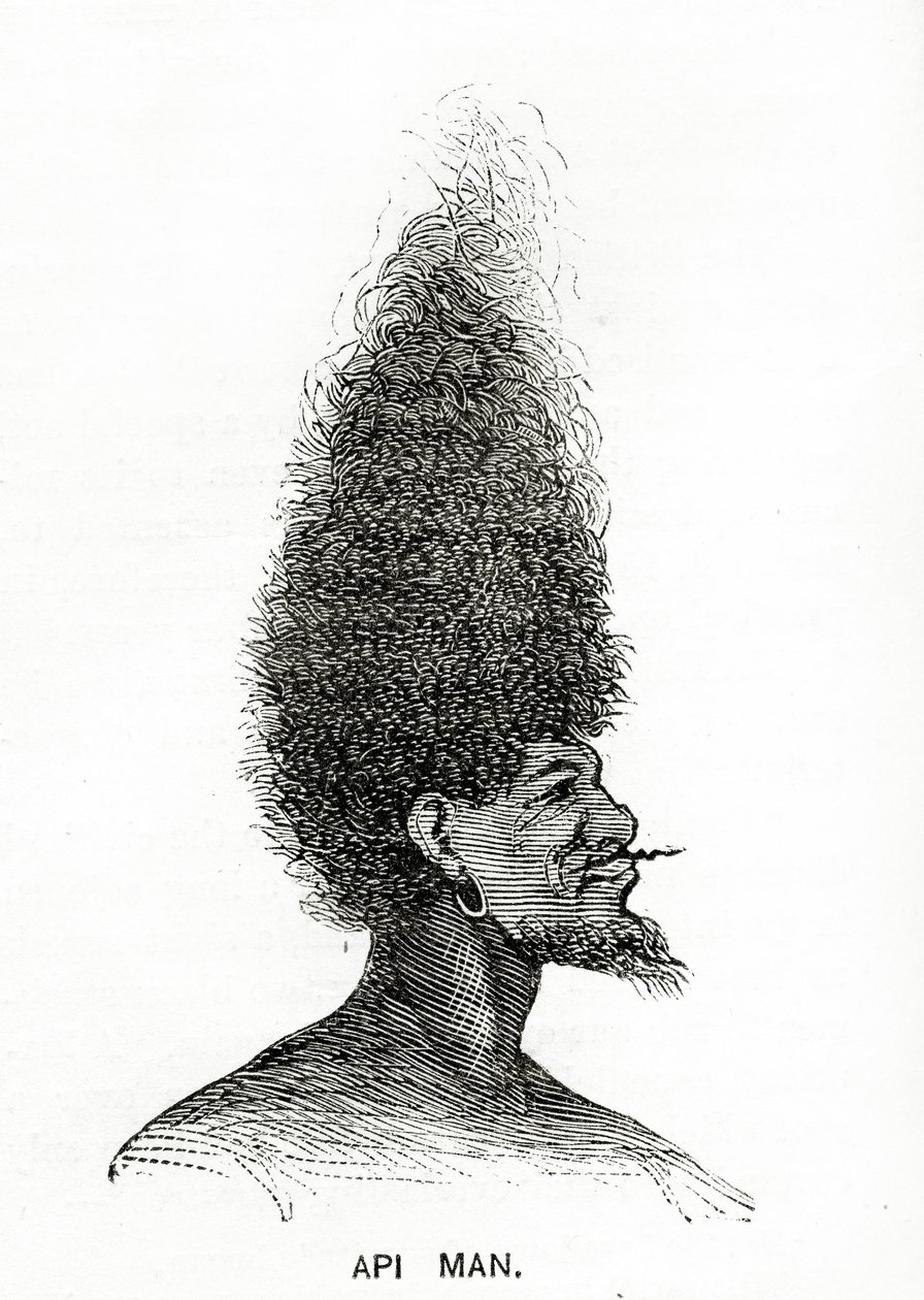 Api Man, ilustracja z Appletons Journal, 4 maja 1872 r. autorstwa American School