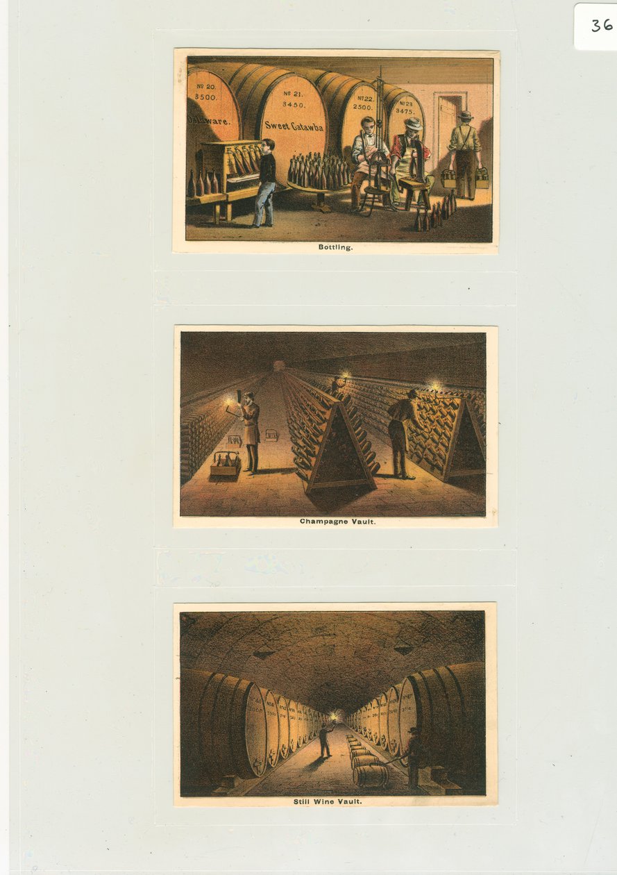 Skarbiec butelkowania i szampana, Karty handlowe do winnicy, ok. 1876 (kolor lito) autorstwa American School