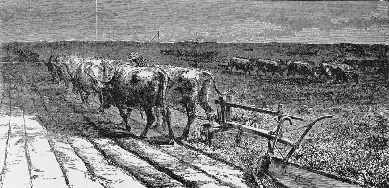 Breaking the Prairie, ilustracja z „Harper