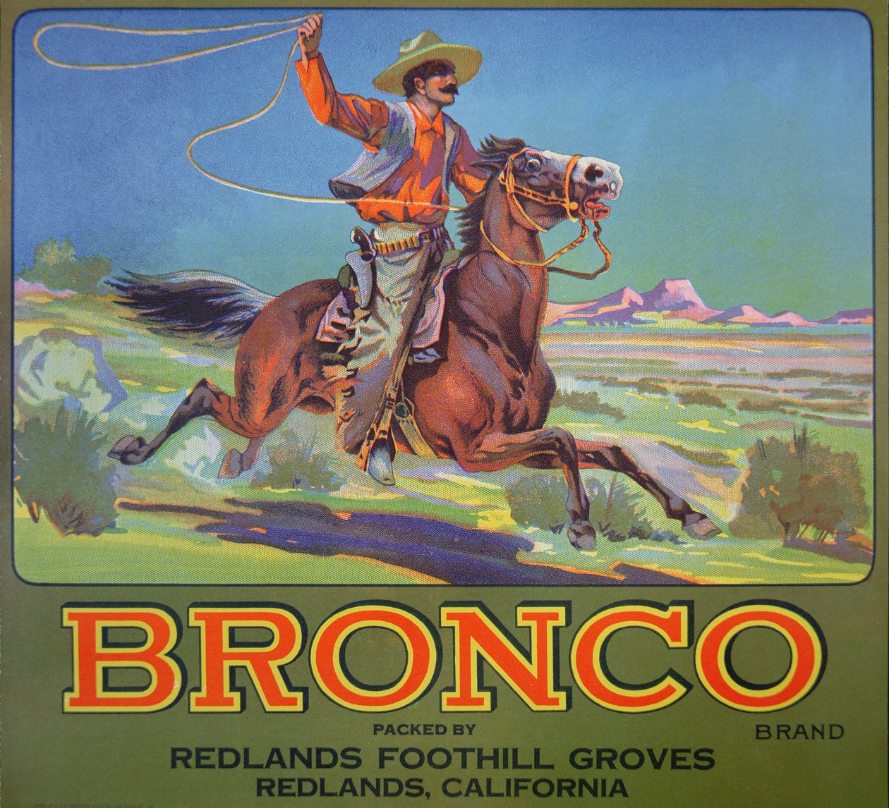 "Bronco Oranges", ok. 1900 (kolor lito) autorstwa American School