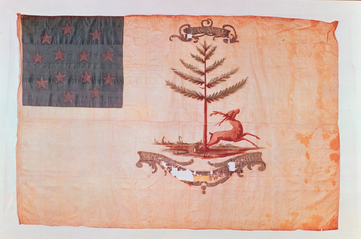 Flaga Bucks of America, c.1787 autorstwa American School