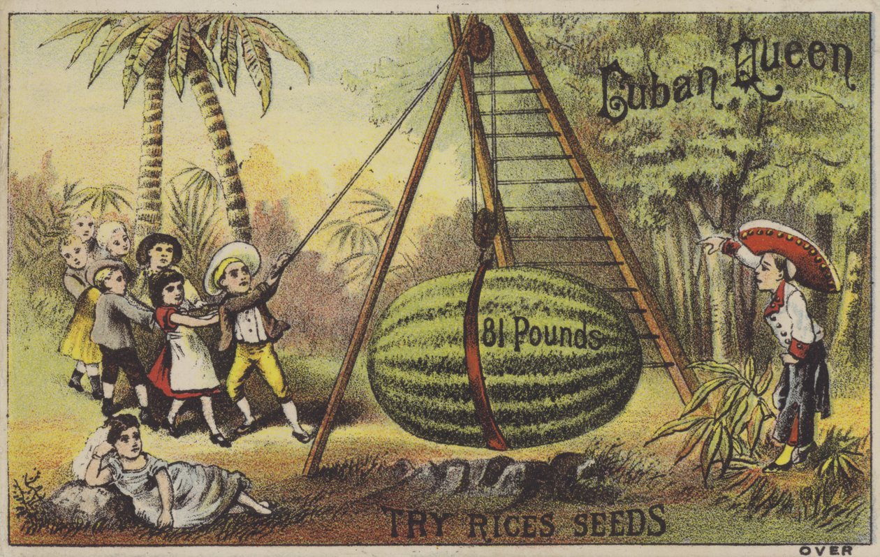 Dzieci podnoszące ogromnego mellona wodnego (chromolitho) autorstwa American School