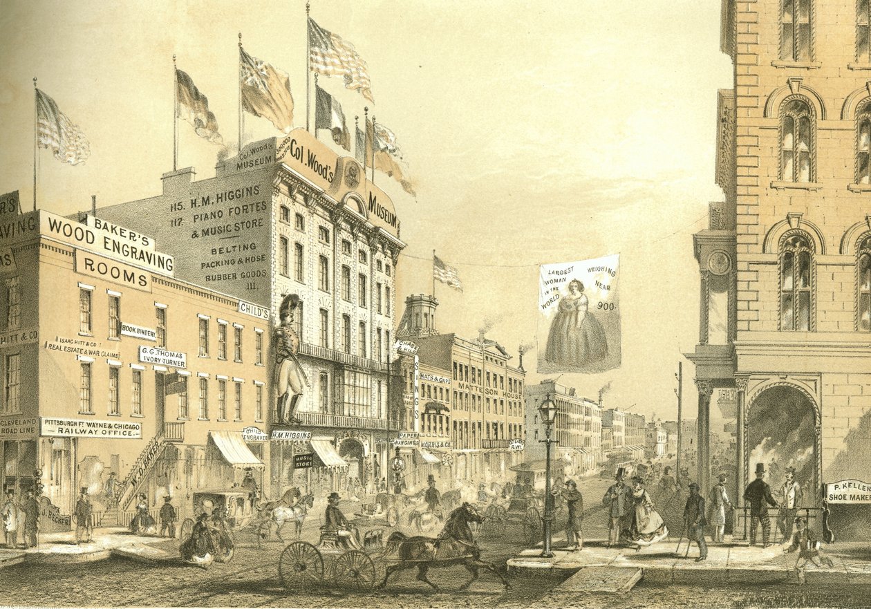 Col. Woods Museum, z Chicago Illustrated, z opisami literackimi Jamesa W. Sheahana, wyd. Jevne & Almini, Chicago, 1866-67 autorstwa American School