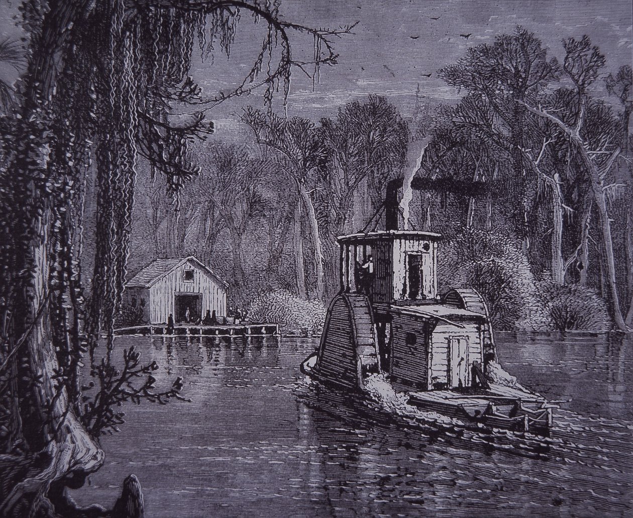 Scena Everglades na Florydzie autorstwa American School