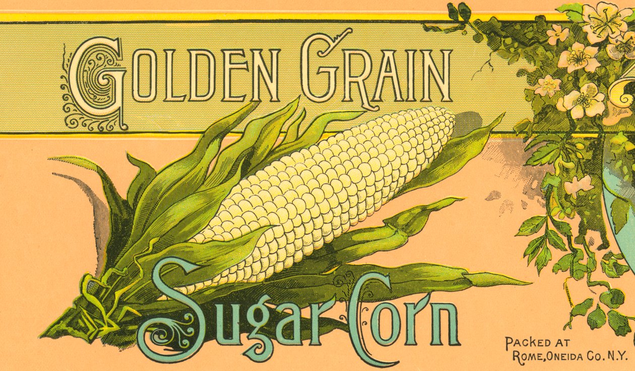 Etykieta produktu Golden Grain Sugar Corn, ok. 1890 r. (kolorowa litografia) autorstwa American School