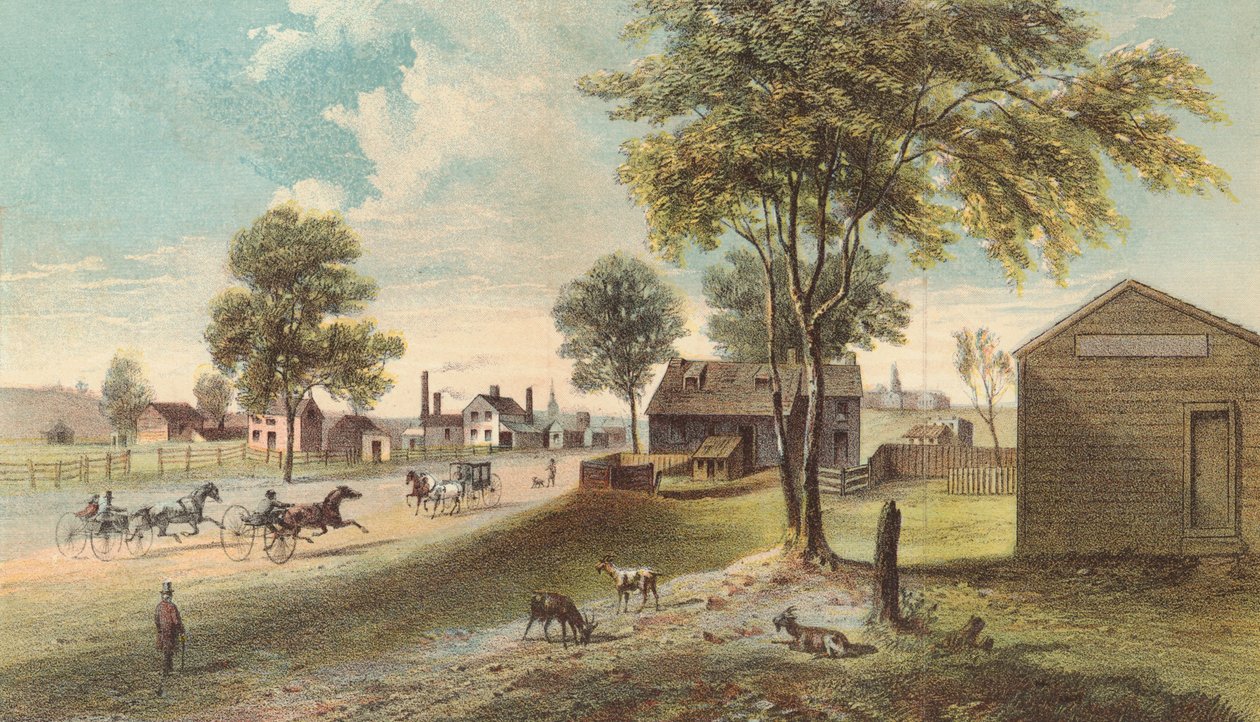 Harlem Lane, od Central Parku do Manhattanville, 1865 autorstwa American School