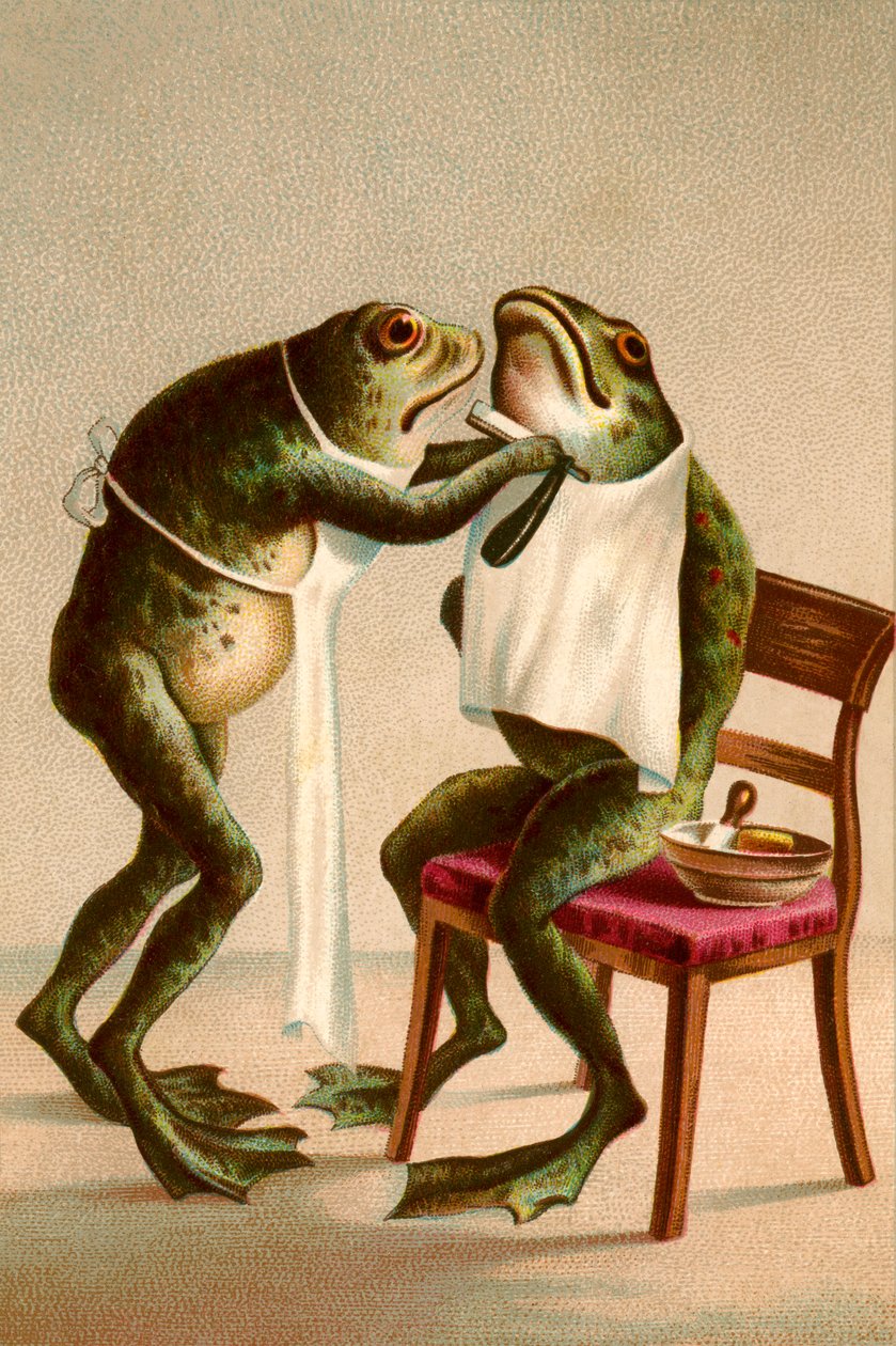 Humorystyczna ilustracja przedstawiająca golącą się żabę autorstwa American School