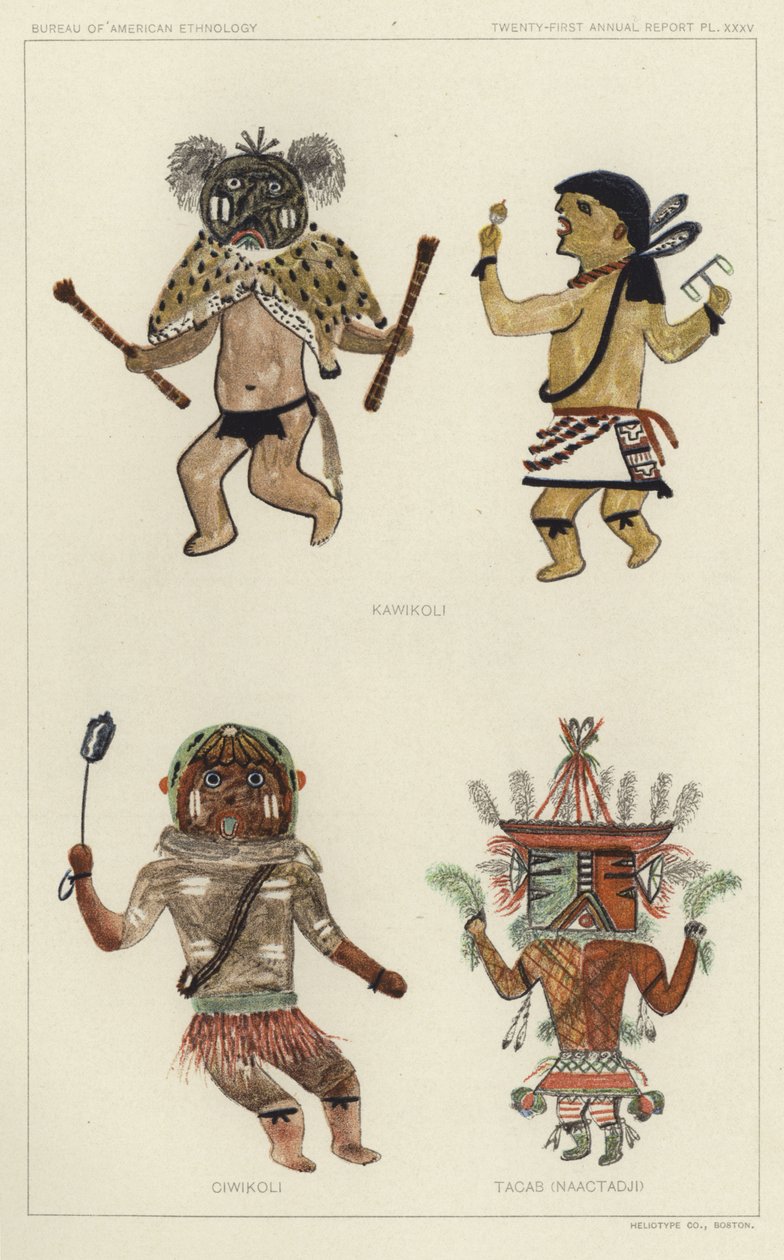 Kawikoli, Ciwikoli, Tacab (Naactadji) (colour litho) autorstwa American School