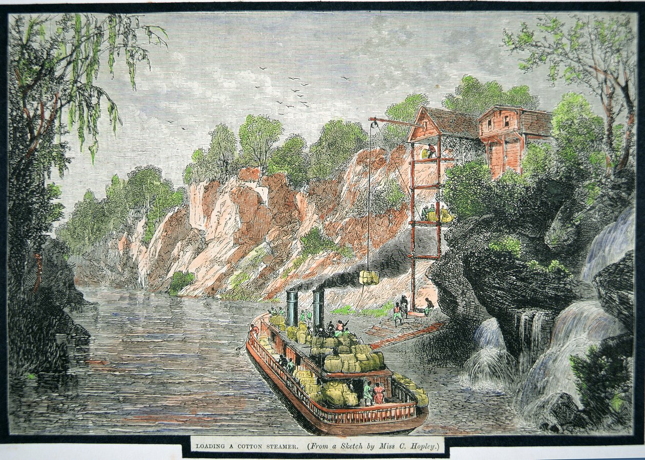 Załadunek parowca belami bawełny z plantacji, ok. 1860 r. (kolorowy grawerunek) autorstwa American School