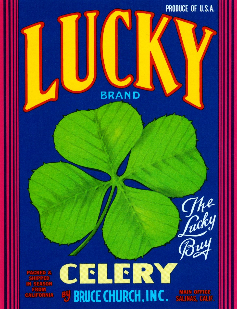 Etykieta na skrzynkę owocową marki Lucky Brand, c.1920 (litografia) autorstwa American School