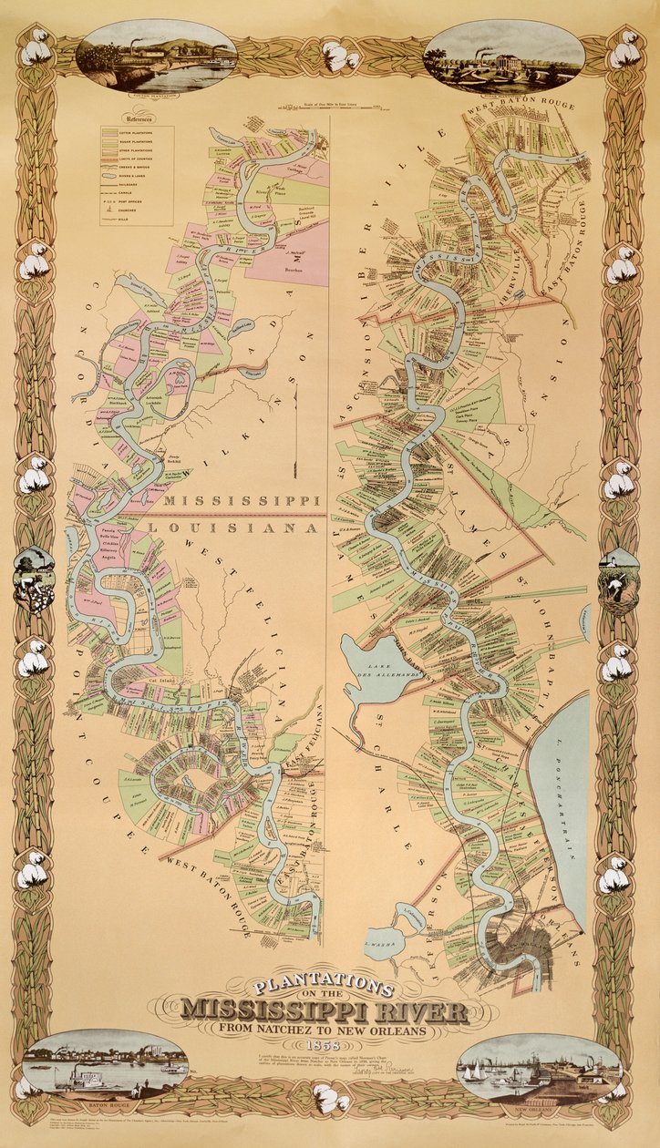 Mapa przedstawiająca plantacje na rzece Missisipi od Natchez do Nowego Orleanu, 1858 autorstwa American School