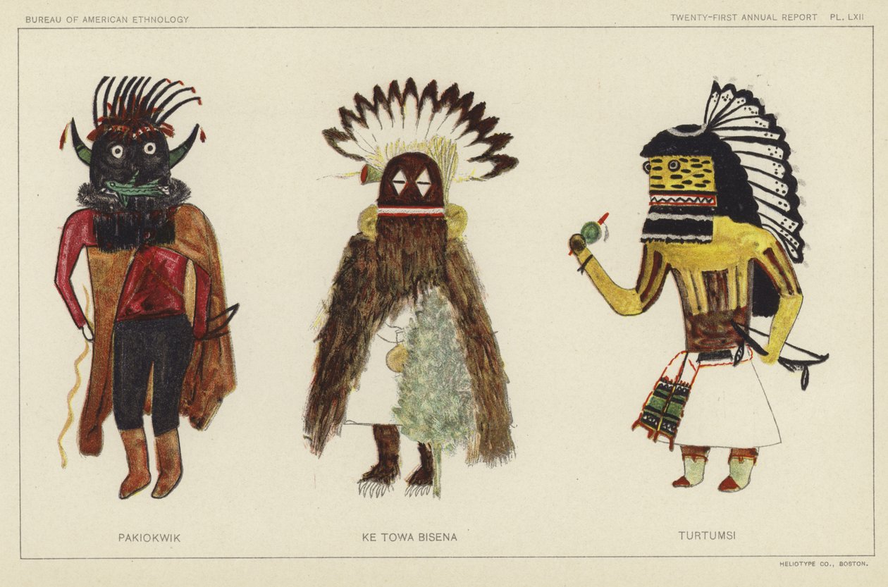 Pakiokwik, Ke Towa Bisena, Turtumsi (kolorowa litografia) autorstwa American School