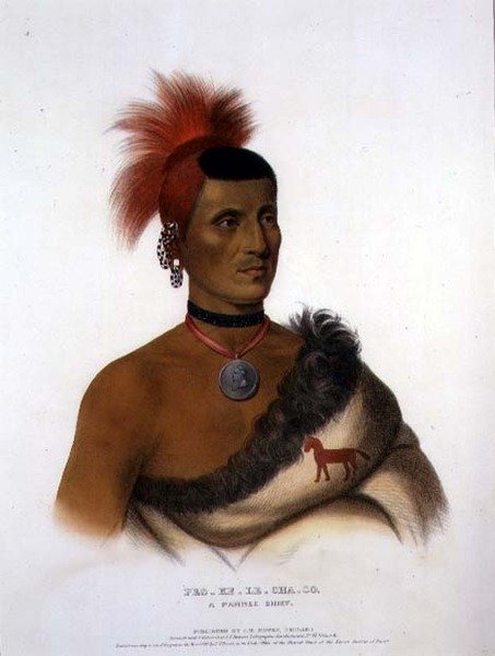 Pes-Ke-Le-Cha-Co, Szef Pawnee, wyd. JT Bowena (1801-c.1856) 1841 (kolor lito) autorstwa American School