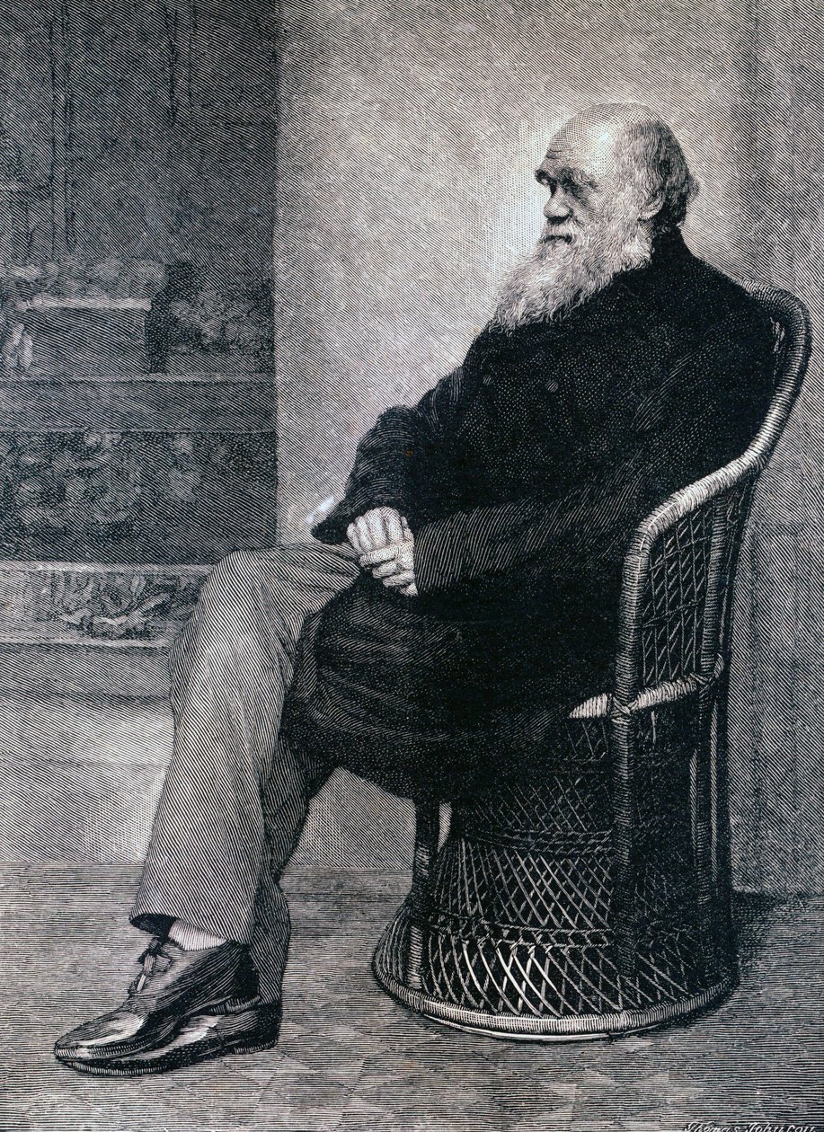 Portret Karola Darwina autorstwa American School