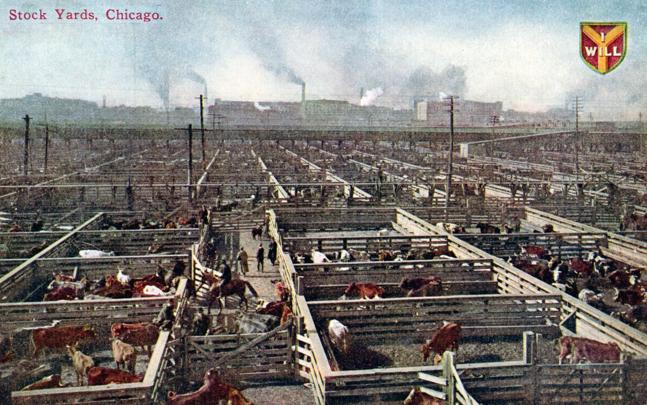 Pocztówka przedstawiająca składy i rzeźnie w Chicago, ok. 1910 (zdjęcie kolorowe) autorstwa American School
