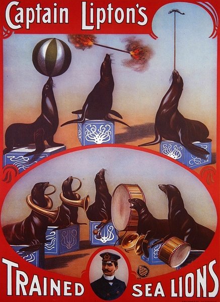 Plakat reklamujący „Wytresowane lwy morskie kapitana Liptona”, ok. 1905 (kolor lito) autorstwa American School