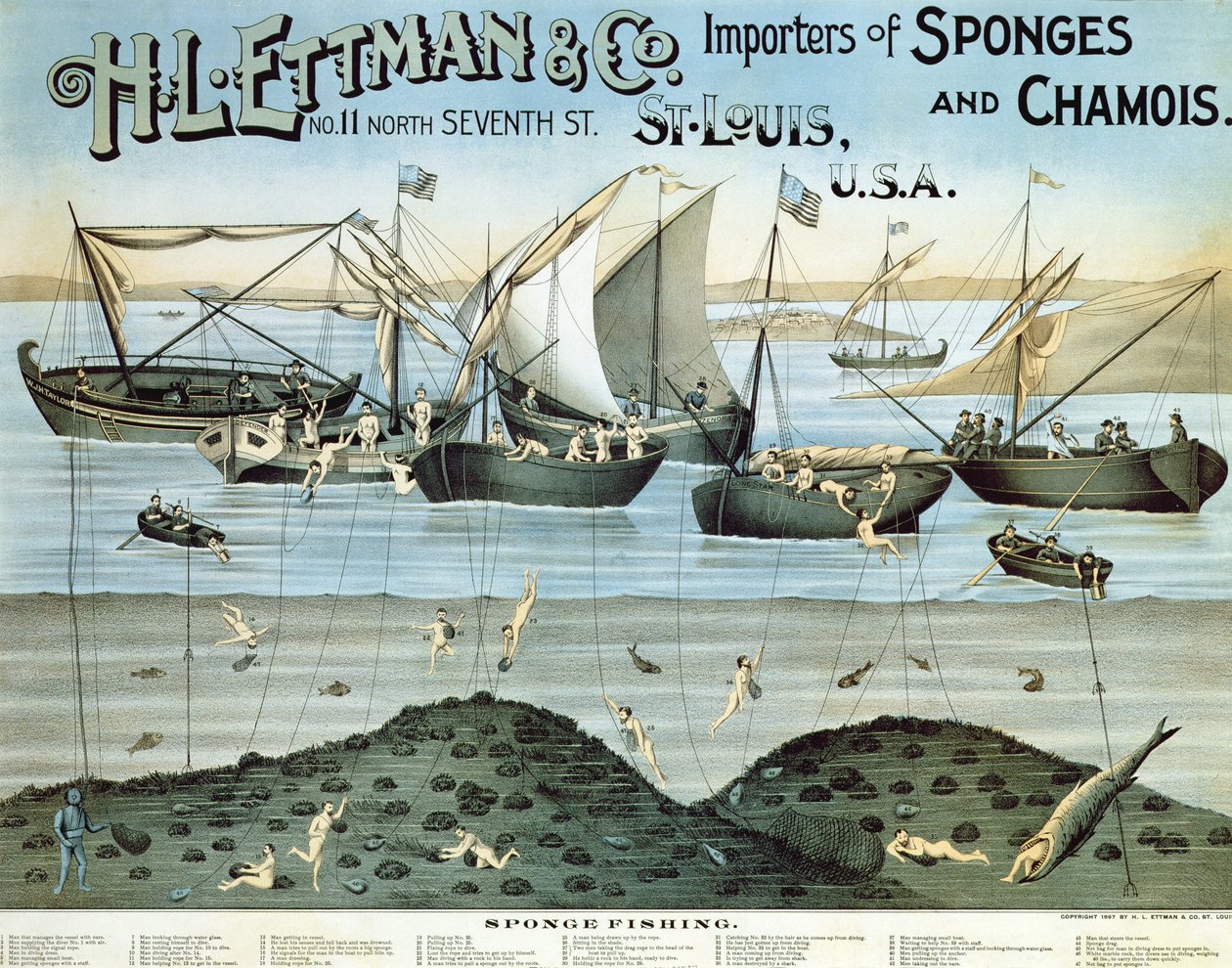 Plakat reklamujący H.L. Ettman & Co., Importerzy gąbek i zamszu, 1897 autorstwa American School