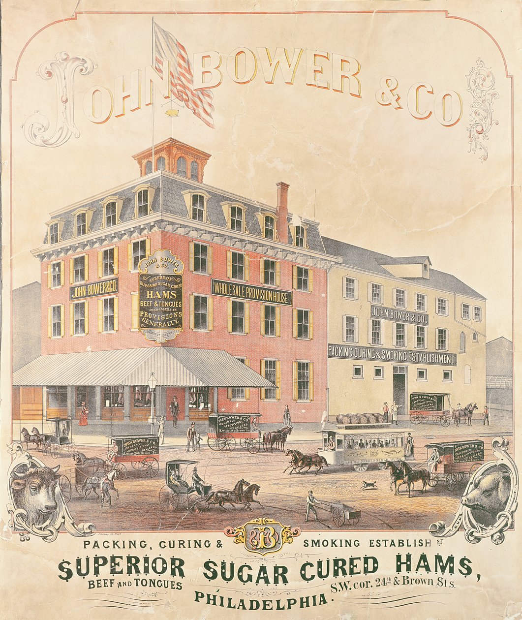 Plakat reklamujący John Bower & Co. Superior Sugar Cured Hams autorstwa American School