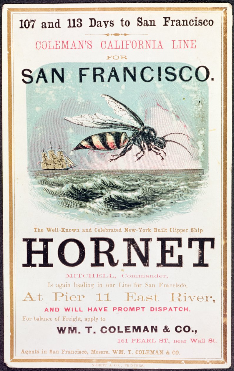 Plakat reklamujący kliper „Hornet” z Nowego Jorku do San Francisco autorstwa American School
