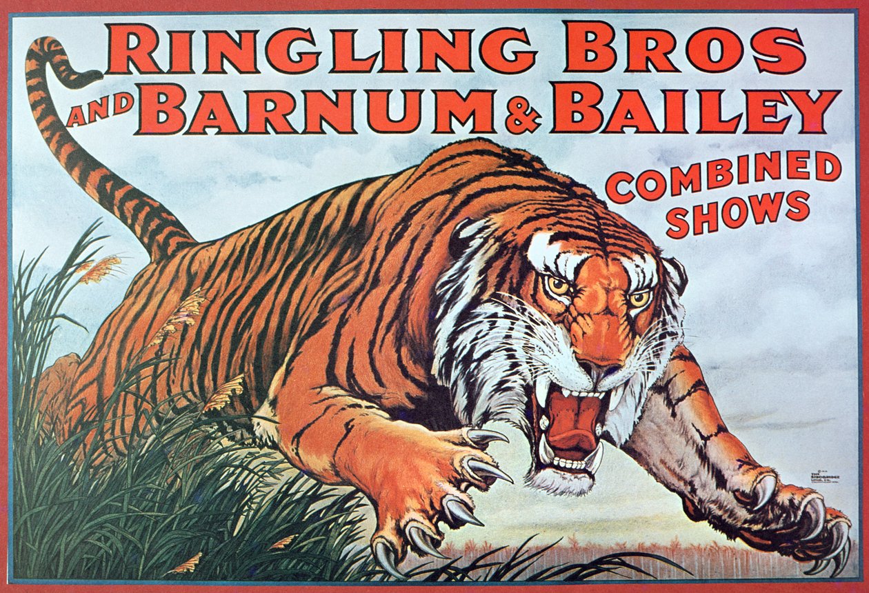 Plakat reklamujący „Ringling Bros. i Barnum & Bailey Combined Shows” autorstwa American School