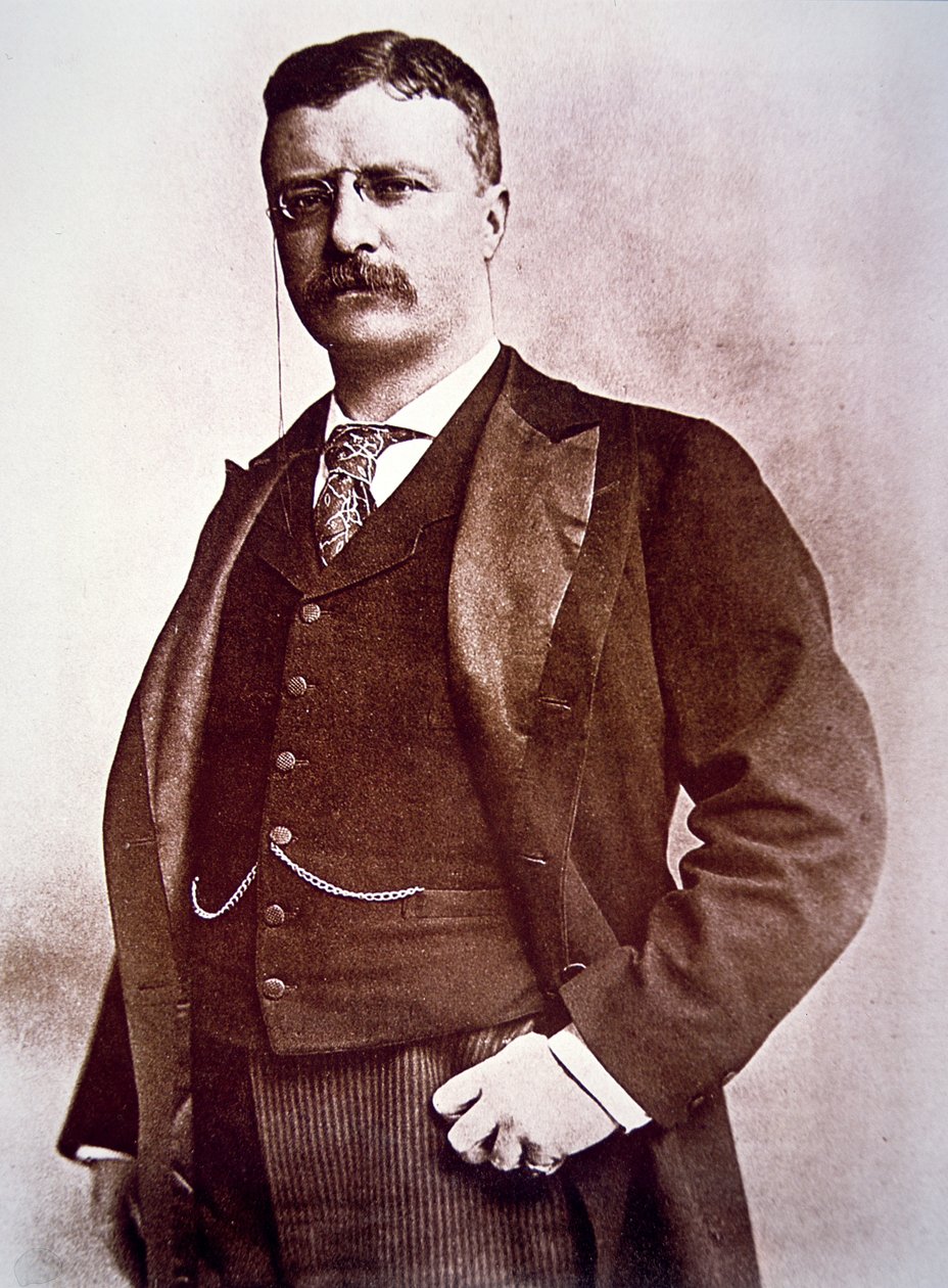 Prezydent Theodore Roosevelt (lito) autorstwa American School