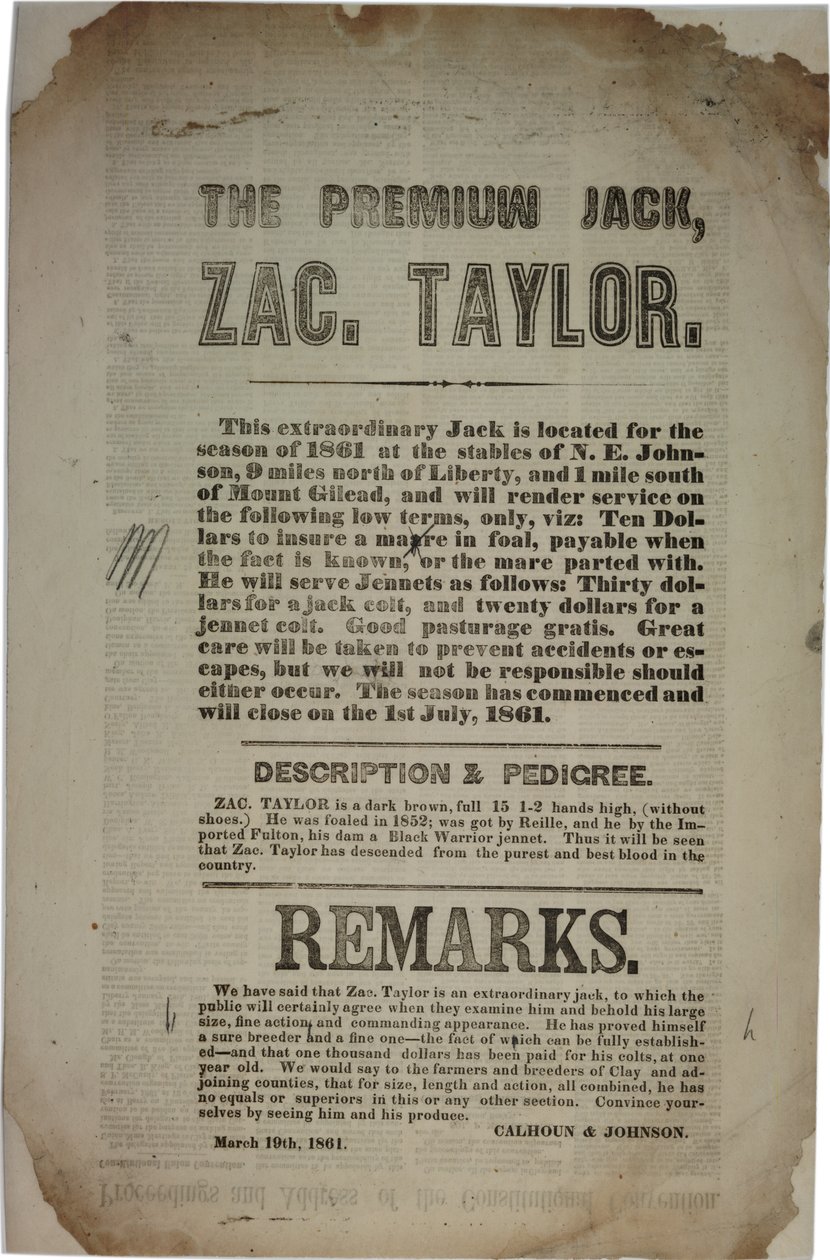 Obrady i przemówienie Konwencji Konstytucyjnej, ok. 19 marca 1861 r. autorstwa American School