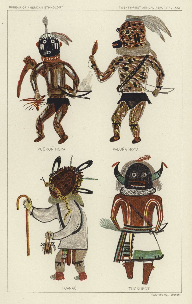 Puukon Hoya, Paluna Hoya, Tcanau, Tuckubot (kolorowa litografia) autorstwa American School