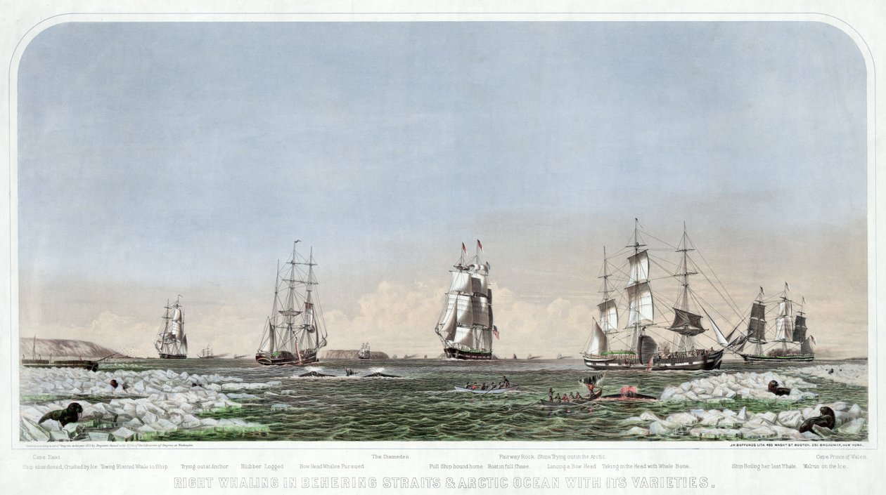 Right Whaling w Cieśninie Beheringa i Oceanie Arktycznym z jego odmianami, wyd. 1871. autorstwa American School