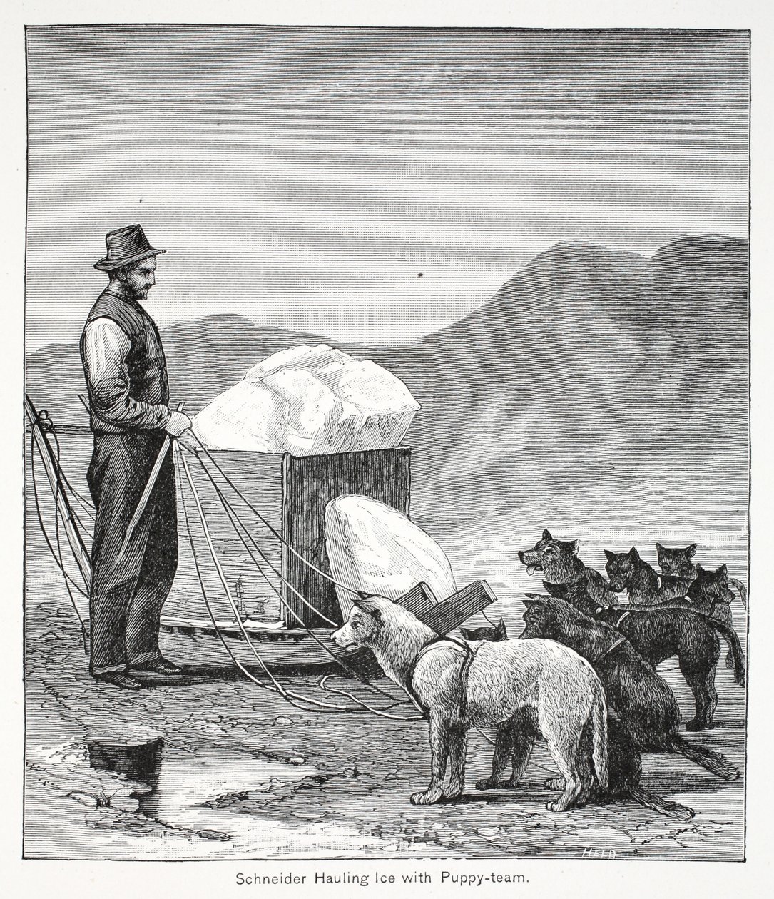 Schneider ciągnący lód z zespołem Puppy, wyd. Londyn 1886 autorstwa American School