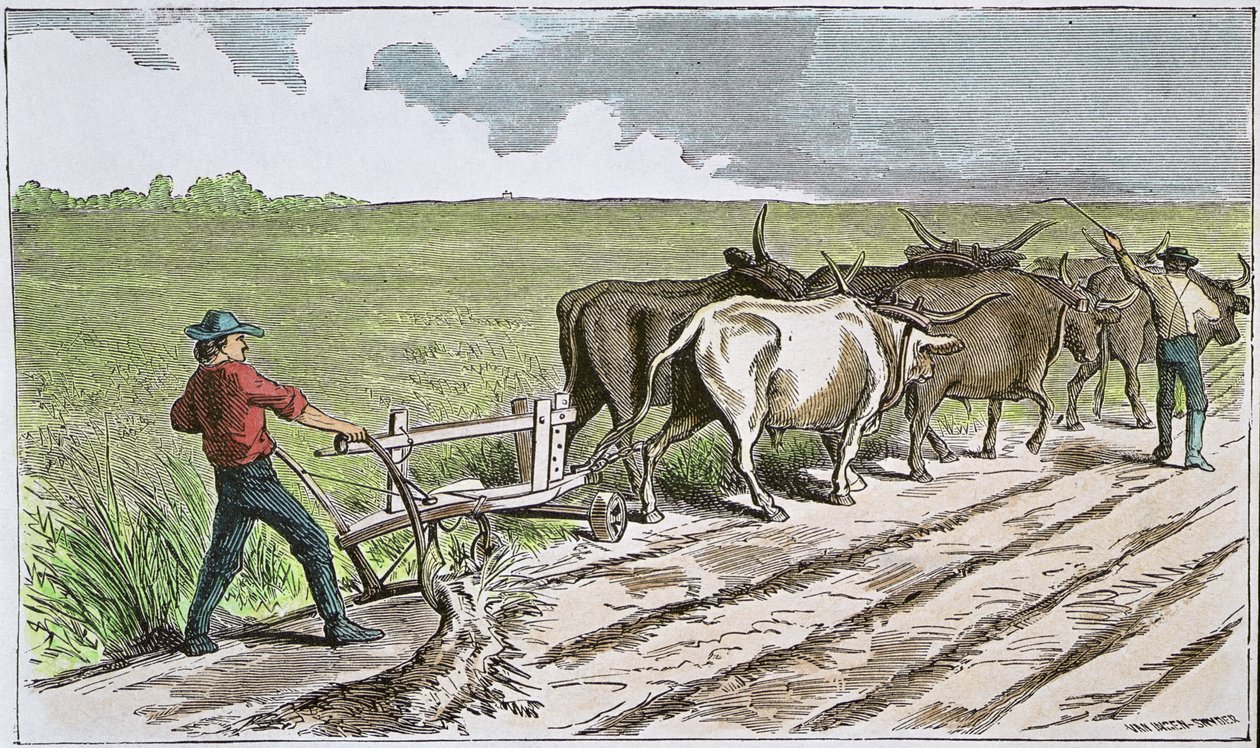 Sodbusters amerykańskiego Zachodu, c.1880 (kolorowe grawerowanie) autorstwa American School