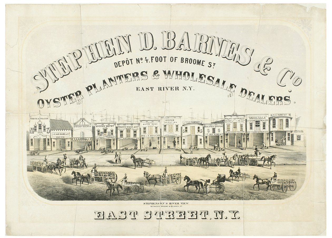 Stephen D. Barnes & Co. Oyster Plantters & Wholesale Dealers, depot nr 4 foot of Broome Street autorstwa American School