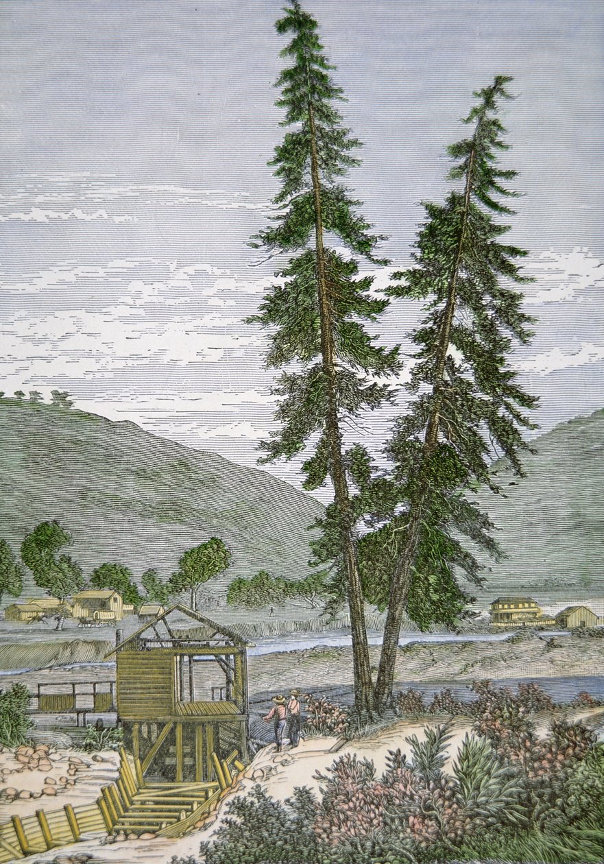 Młyn Sutter autorstwa American School