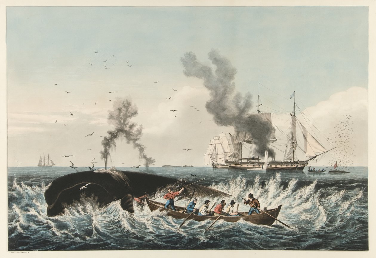 Łowisko wielorybów - Atak na „prawego” wieloryba i „Podcinanie”, wyd. 1860 (kolor lito) autorstwa American School