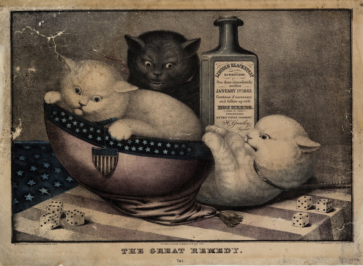 Wielkie lekarstwo, opublikowane przez E.B. i E.C. Kellogg, Hartford Ct. i Phelps i Watson, Nowy Jork, oraz F.P. Whiting, Nowy Jork, c. 1863 autorstwa American School