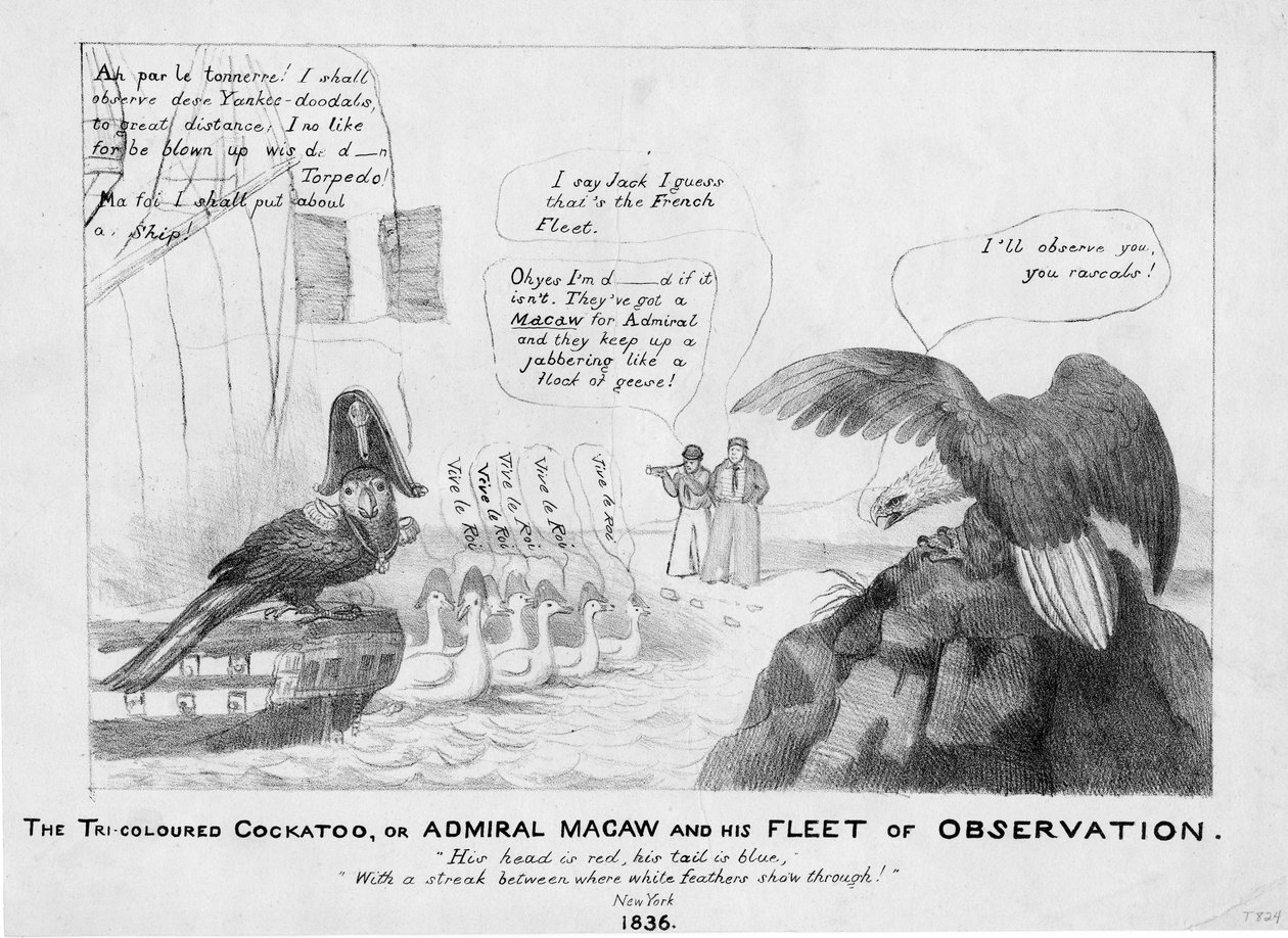 Trójkolorowa kakadu, czyli Admirał Ara i jego flota obserwacyjna, 1836 autorstwa American School