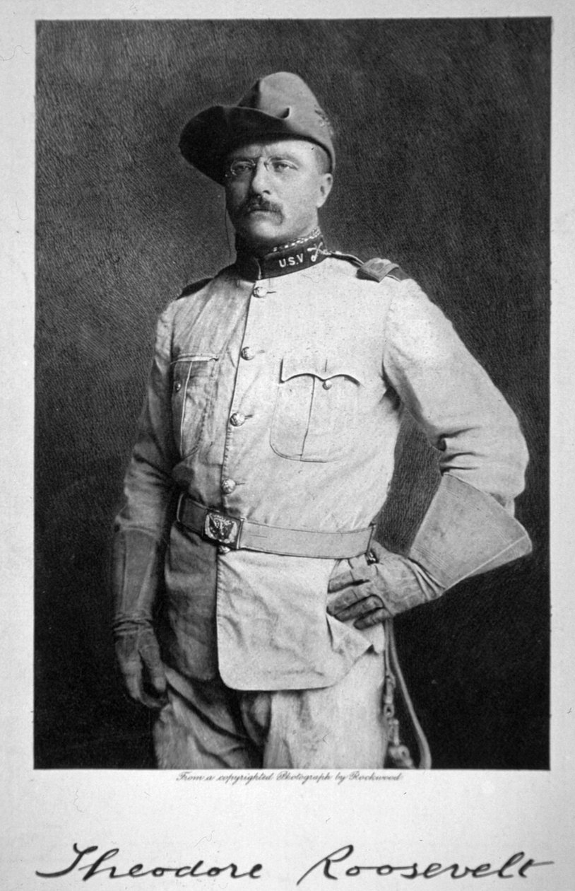 Theodore Roosevelt autorstwa American School