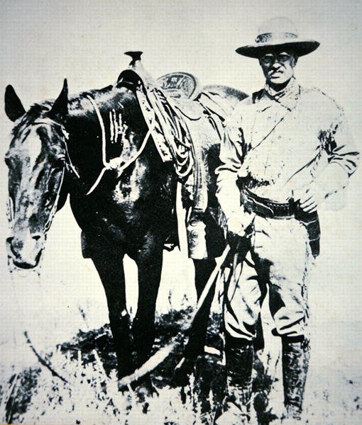 Theodore Roosevelt ze swoim koniem, c.1885 (lito) autorstwa American School