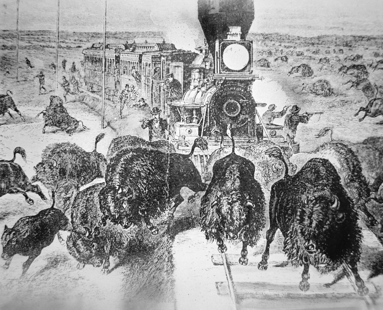 Pociąg pasażerów na Kansas Pacific Railroad, strzelanie do bawołów dla sportu w latach 70. XIX wieku (litografia) autorstwa American School