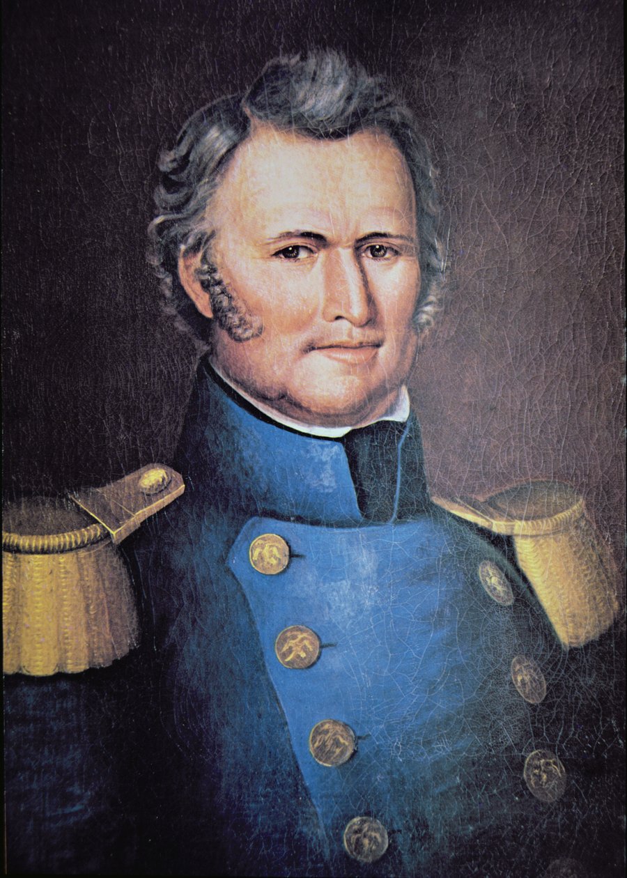 Zachary Taylor (kolor lito) autorstwa American School