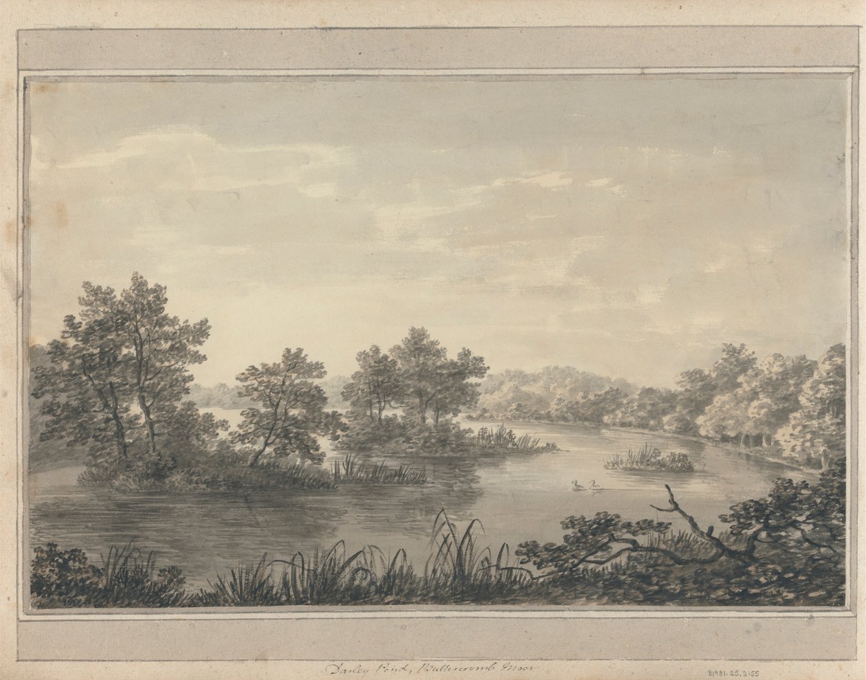 Widoki w Anglii, Szkocji i Walii: Darley Pond, Buttercoomb Moor autorstwa Amos Green